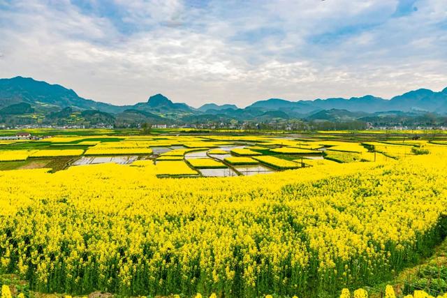 旅行▲4月最佳旅行地，五一小长假找个地方就近走一走