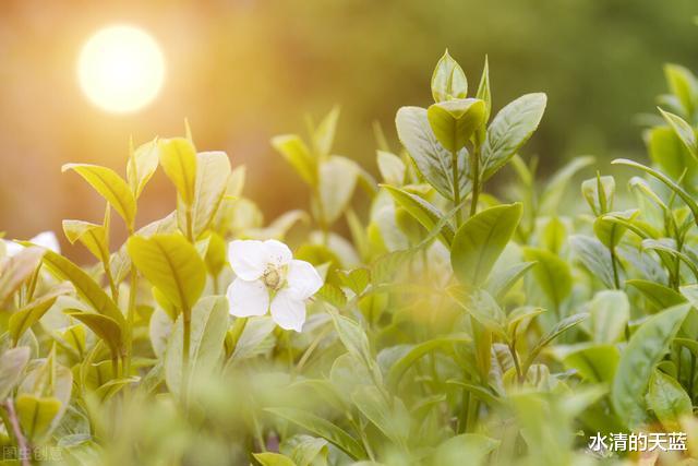 水星|8月运势有好有坏的星座，该来的总会来，吉星的力量助你冲破重围