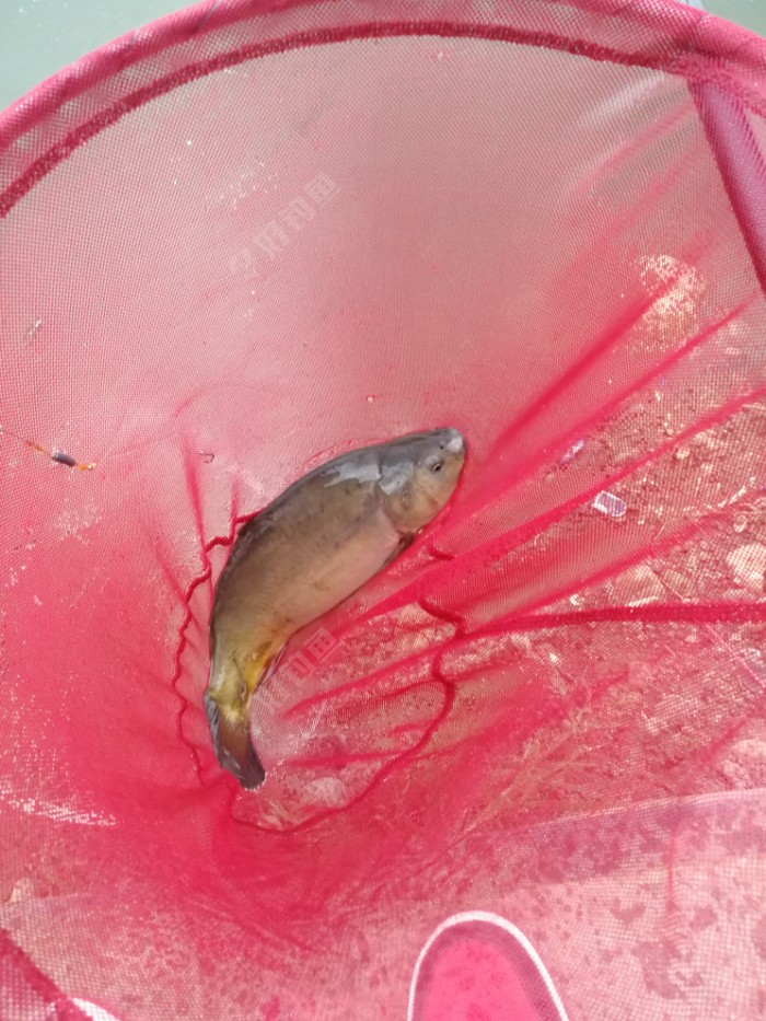 饵料|新车新鞋新头灯新配方，大鱼小鱼齐入护