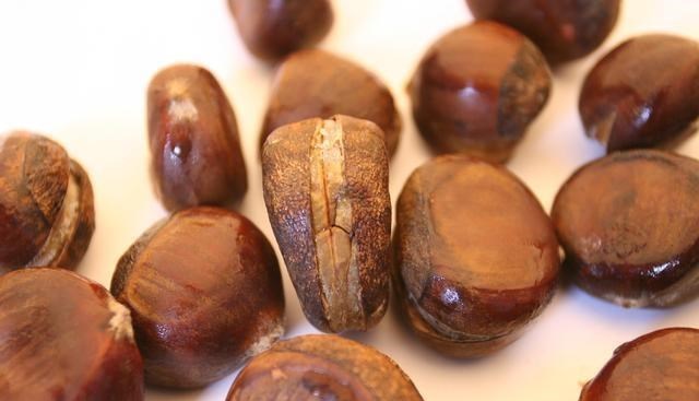 [慢性胃炎]慢性胃炎的“祸端”被揪出，警惕：2类食物尽早忌口，别自讨苦吃