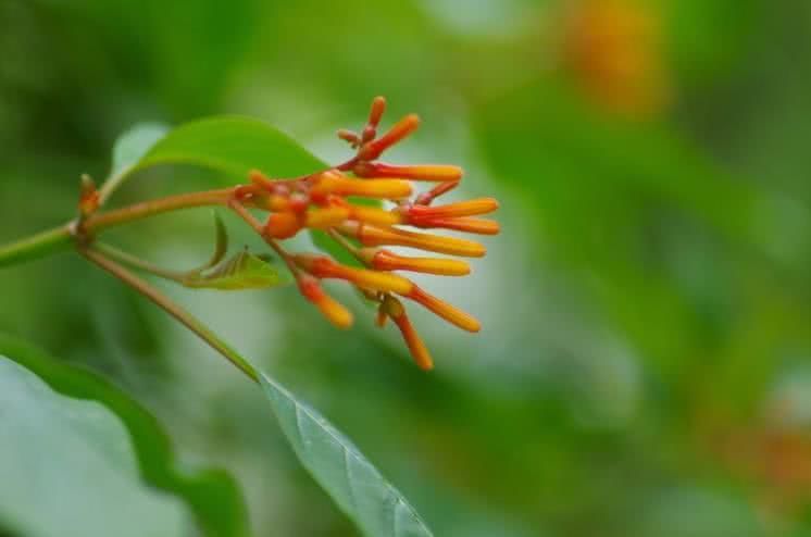 「生肖」6月中旬开始赚钱多多，有贵人领路，有财有福的四大生肖