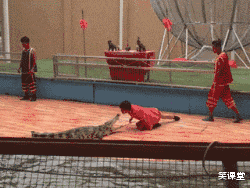 女孩|“女孩的审美真让人难以理解,这件裤子的美感在哪?”哈哈哈哈哈