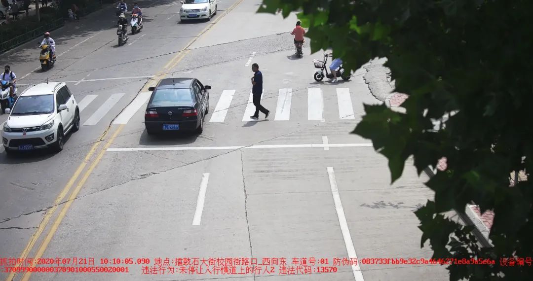 大众网泰安|鲁JUC**8、鲁JDM**0、鲁JA9**6……这20辆车被曝光！