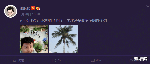 彭昱畅@彭昱畅爬完椰子树后,那把刀取下来没有?《向往的生活》导演回应了