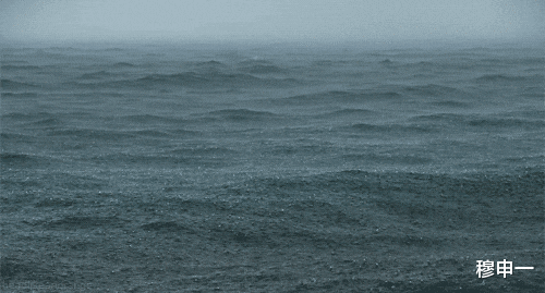 海水这么咸,不能直接喝,那海洋里的生物是怎么喝到淡水的?
