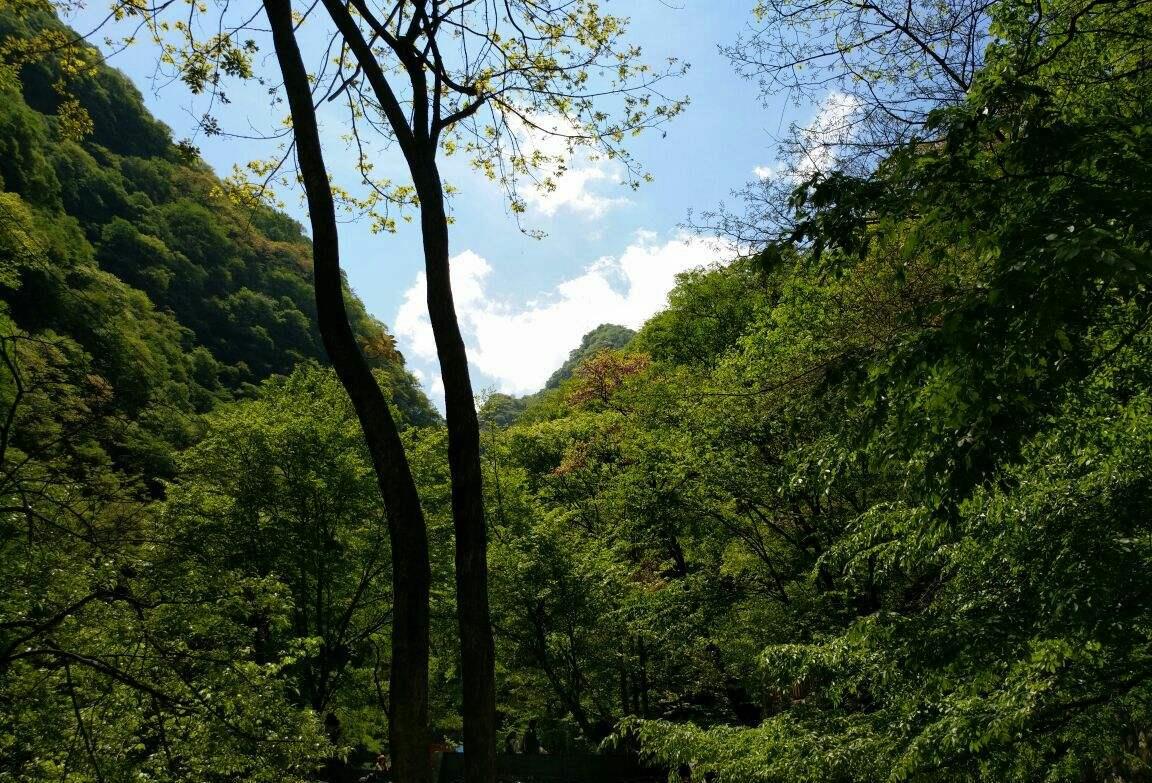 九寨沟|距西安1h车程，藏着一处堪比九寨沟的公园，门票仅65元却鲜为人知