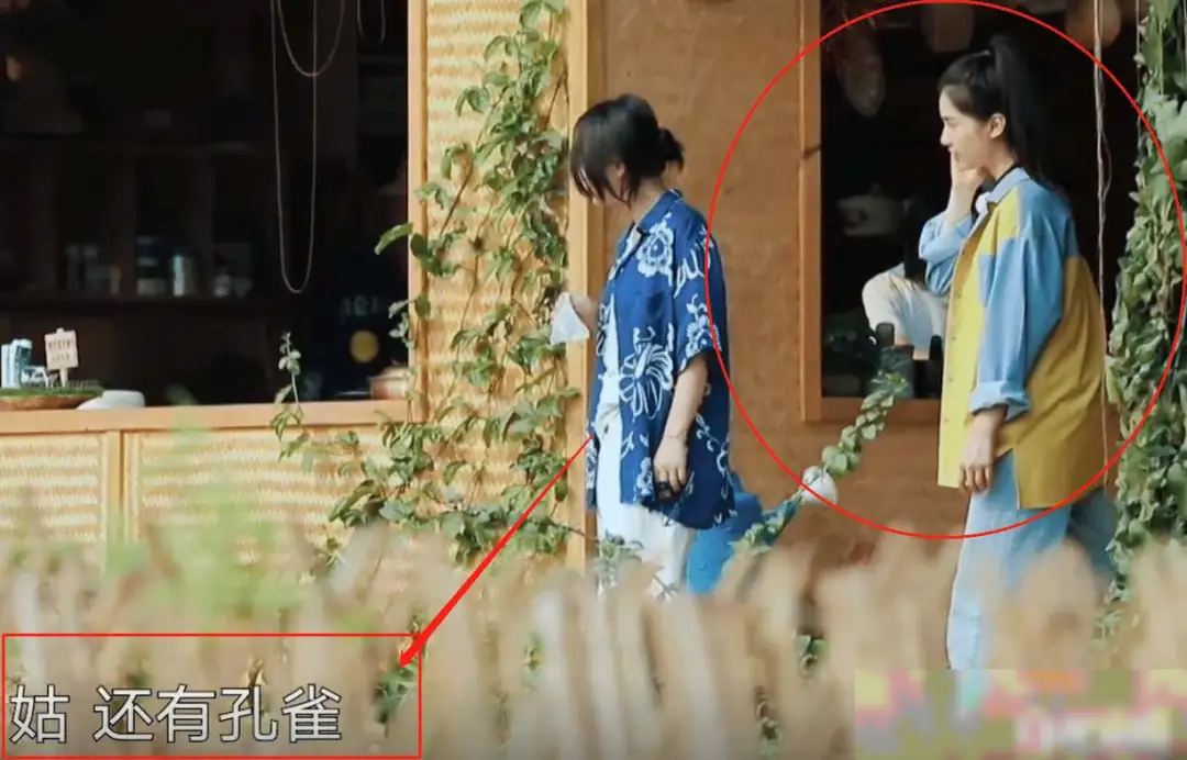 陈星旭|又是夜光剧本？拍一部换一任，他的恋爱脑是不是没救了？