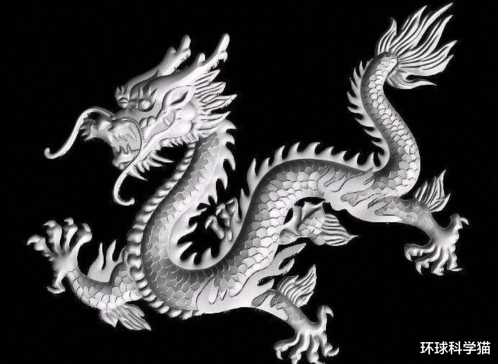 |营口坠龙是不是真的，龙会不会生活在海里只是我们没发现？