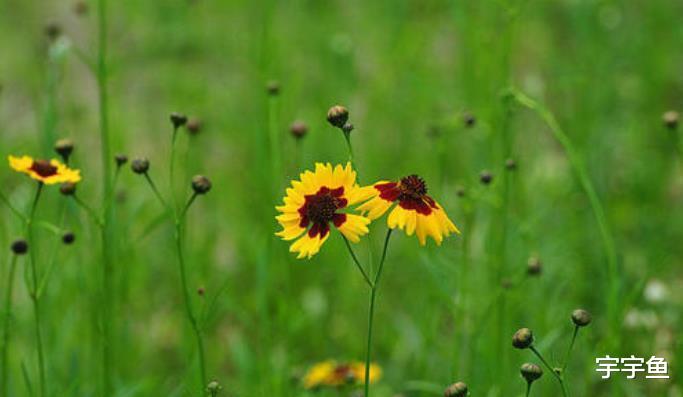 |9月开始事业成就大业，财神偏爱，富贵近身的四大属相