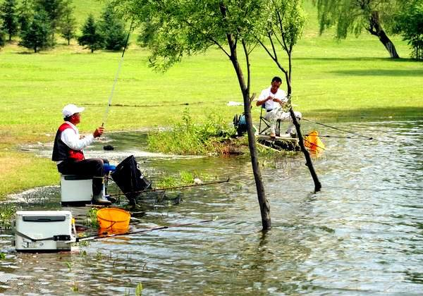 |秋季钓鱼讲究这几个技巧，掌握好了仍能爆护