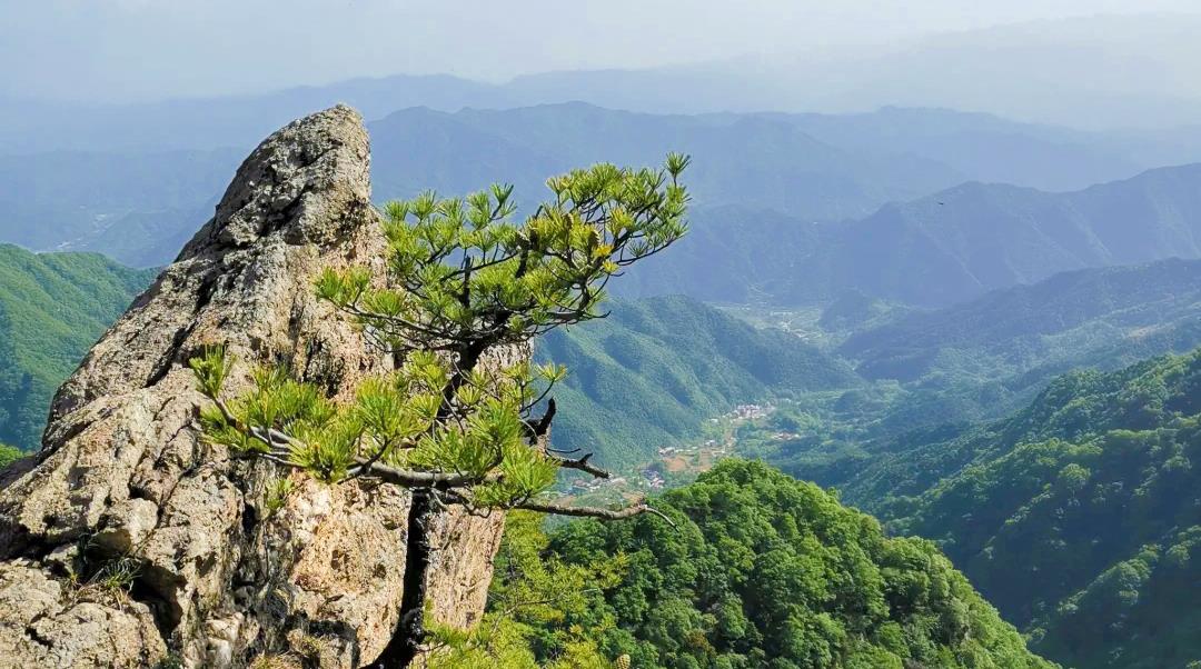 秦岭@秦岭中这座森林公园，奇山峻岭，景色宜人，国家4A级景区免费开放