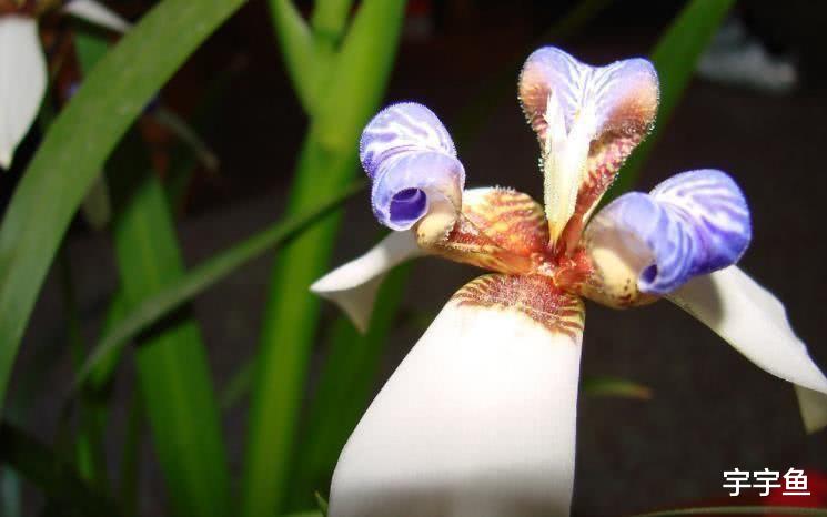 运势|9月开始钱财大赚，贵人登门，闷头数钞票的四大属相