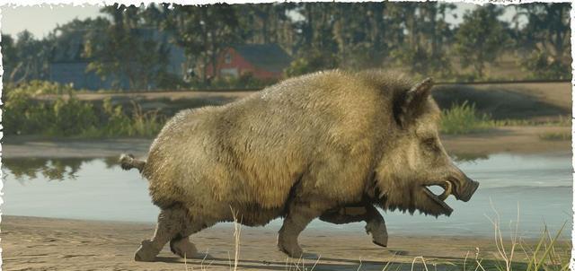《荒野大鏢客2》線上模式目擊者指出黃金靈熊在大山谷襲擊盜獵者-圖3