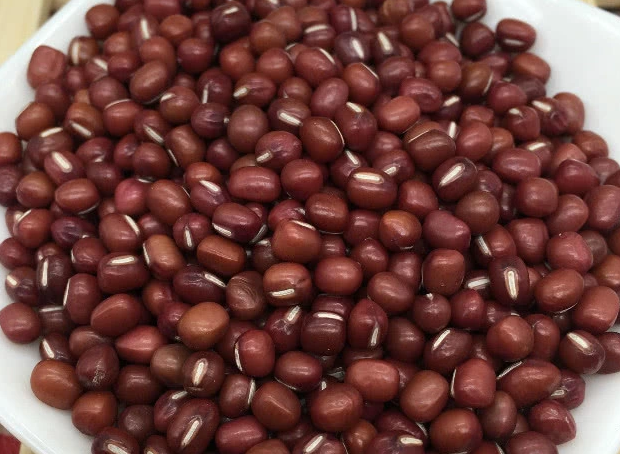 [脾胃]女生不想被叫“黄脸婆”，常吃4种“零食”，助你40不显老