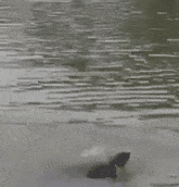 话晴空|为了活到99，大爷大妈们竟然“放生牛奶，矿泉水”