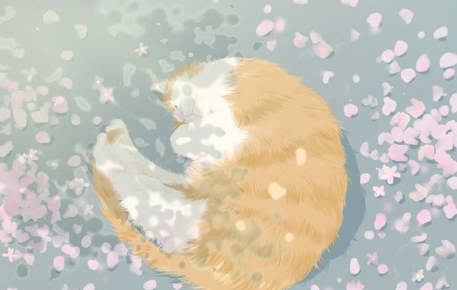 摩羯座|两周后，前任用心，情意难控制，三星座舍不得离去，坠落前任怀里