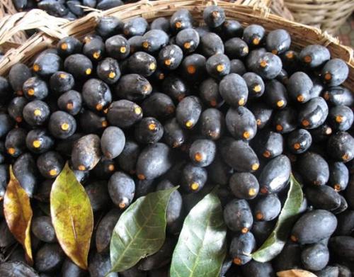 白菜|只有两广地区才知道的美食,很多外地人都不知道,不买肉都要买它