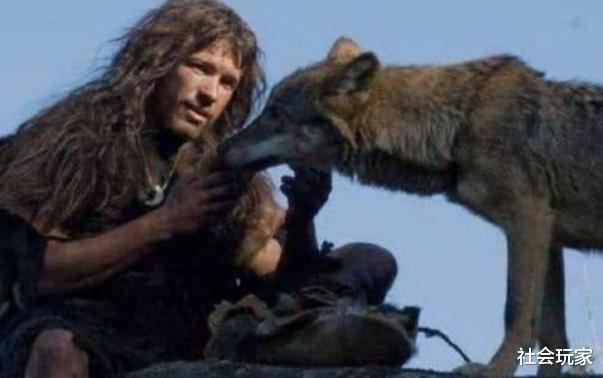 |狼如果遇到人类婴儿，为何会养大而不是吃掉？真相让人不敢相信