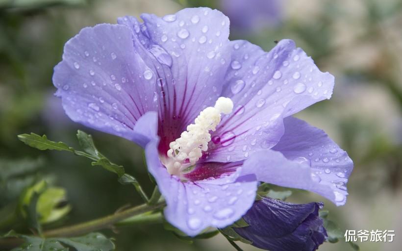 『生肖』恭喜!6月17号鸿运当头,财气旺盛,穷日子过成好日子的生肖