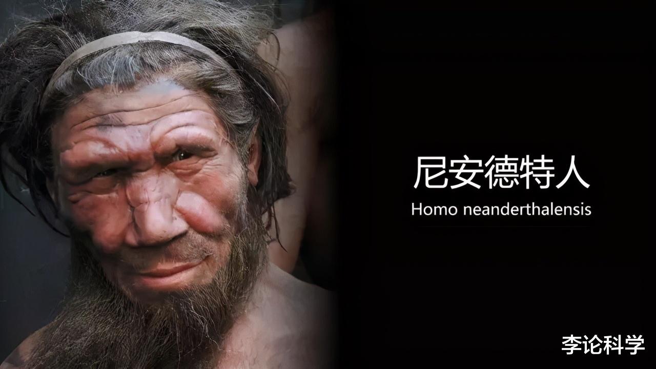 基因|人类基因被插入猴子胚胎，导致其大脑快速进化，实验让科学家担心
