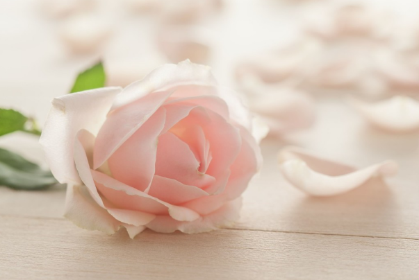 结了|“首付是我家拿的，只能写我名”“装修我会砸了，这婚也不结了”