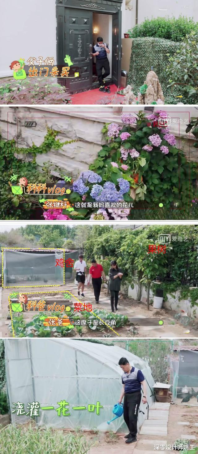 张继科|张继科家明明是豪宅，却过成了农村生活，院子里养鸡种树超接地气