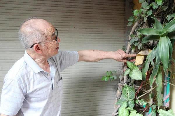 「」?男子花30年培育的绿植如今已覆盖5层楼，称自己是在做善事