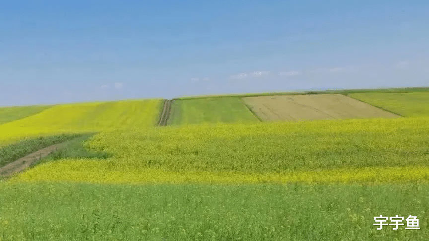 摩羯座|9月前有喜讯、后有贵人找上门,4生肖下半年好日子躲不掉