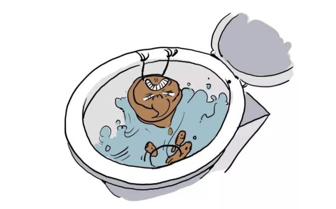 『排便』排便时,臭味大,擦不干净,粪便粘在马桶上?医生说出大实话!