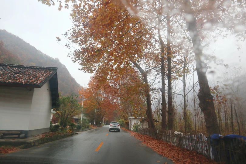 留坝|陕西留坝,藏着中国最美乡村公路,高江路,这里有秦岭最惊艳的秋