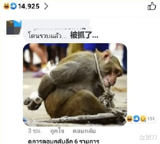 泰国■中国人再不出国旅游，这三个国家就快疯了！