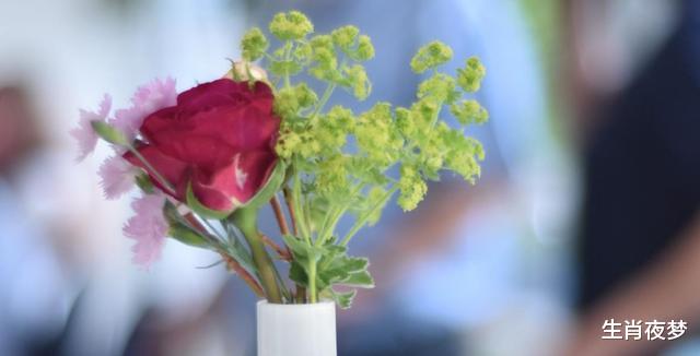 生肖|9月，前任回到老地方，旧情复燃，3生肖再次拥有爱情，被爱治愈