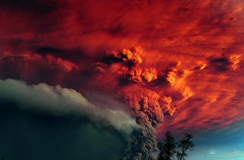 |2020年，近百年来最糟糕的一年，庚子年撞上白元年