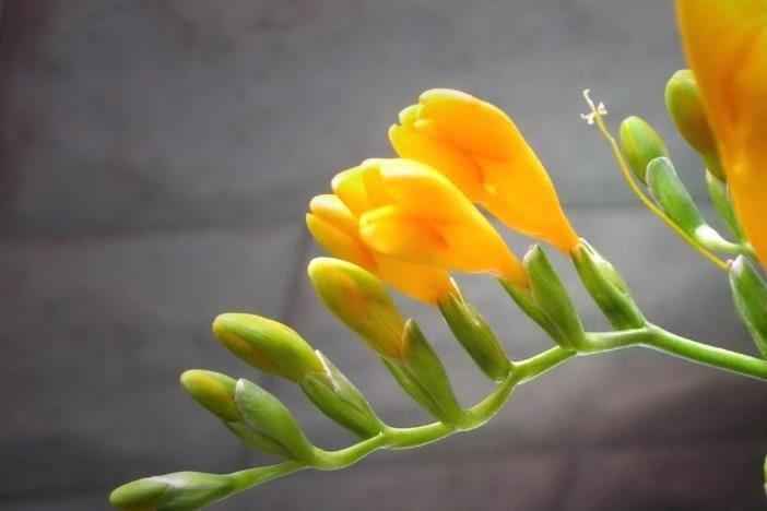 生肖|9月下旬开始事业顺遂，喜事浮出水面，不愁吃不愁喝的4大生肖