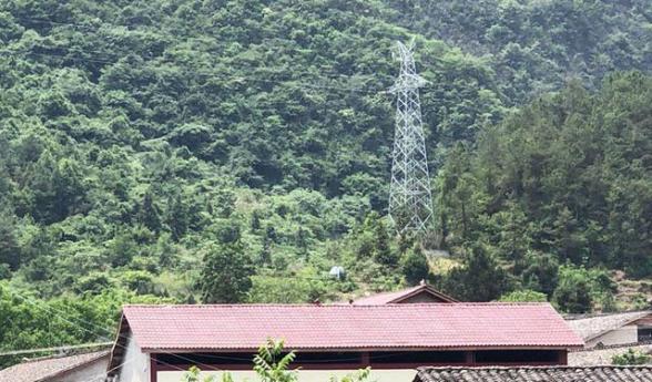 「新发地」3家获补87万！重回四川江油黑熊袭人现场：村民后怕不敢夜行