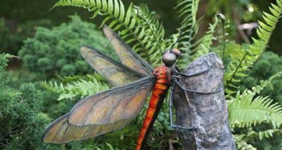 【科学家】它们的长相怪异，只因身体问题无法变大，否则会让人感到恐怖