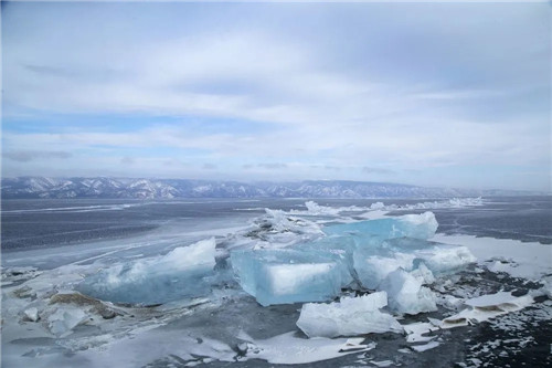 科学家|科学家为求永生，不顾反对注射350万年前的细菌，2年后已失去笑容