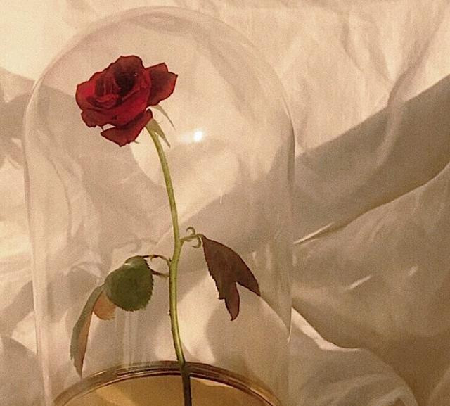 [天蝎座]与这个星座冷战三天没联系，我们是分手了吗