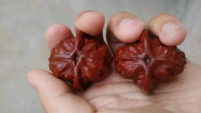 『』汗手、干手、油手、中性手分别怎么盘文玩？