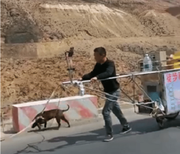 西藏■男子“假徒步”西藏被揭穿，人在镜头前拖车，后有40万普拉多护航