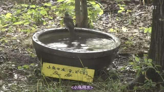 安吉丽娜·朱莉@看了第一眼就无法停下，享受这七部经典电影带来的美好时光