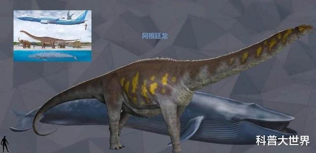 恐龙▲地球生命史上有比蓝鲸更大的动物吗？如果有的话！可能就是它了