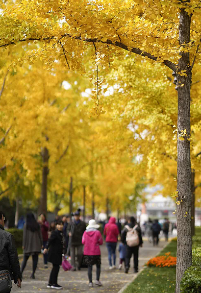 掌上长春|突发!已致?7死5伤 | 今日新闻汇