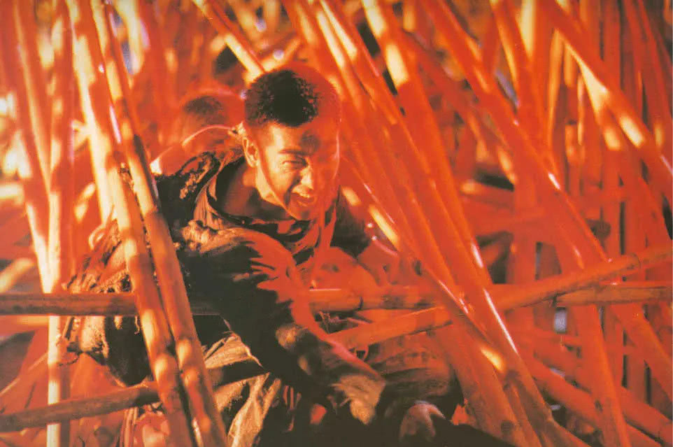 「李连杰」媲美李连杰的功夫演员，因一个动作香港全部武指认可，没几个人做得到