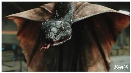 @一种头上长有类似于公鸡肉冠的蛇类，大自然中真有这样的蛇吗？