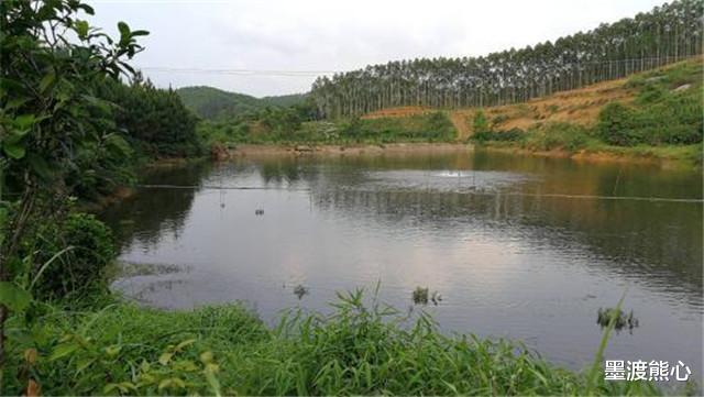 []干挖一个湖泊，为何几年后能“自动生新鱼”原来是有科学依据的