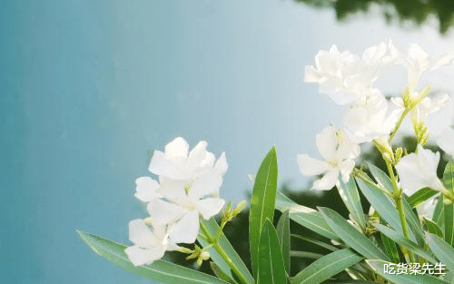 『生肖』爱得最痴情，为爱奉献一生，爱上一个人不离不弃的四大生肖女