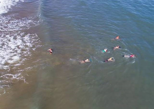 归元文化网 李顺林散文《大海情怀》/孙祝田评鉴: 诗人散文里透出的诗意特质