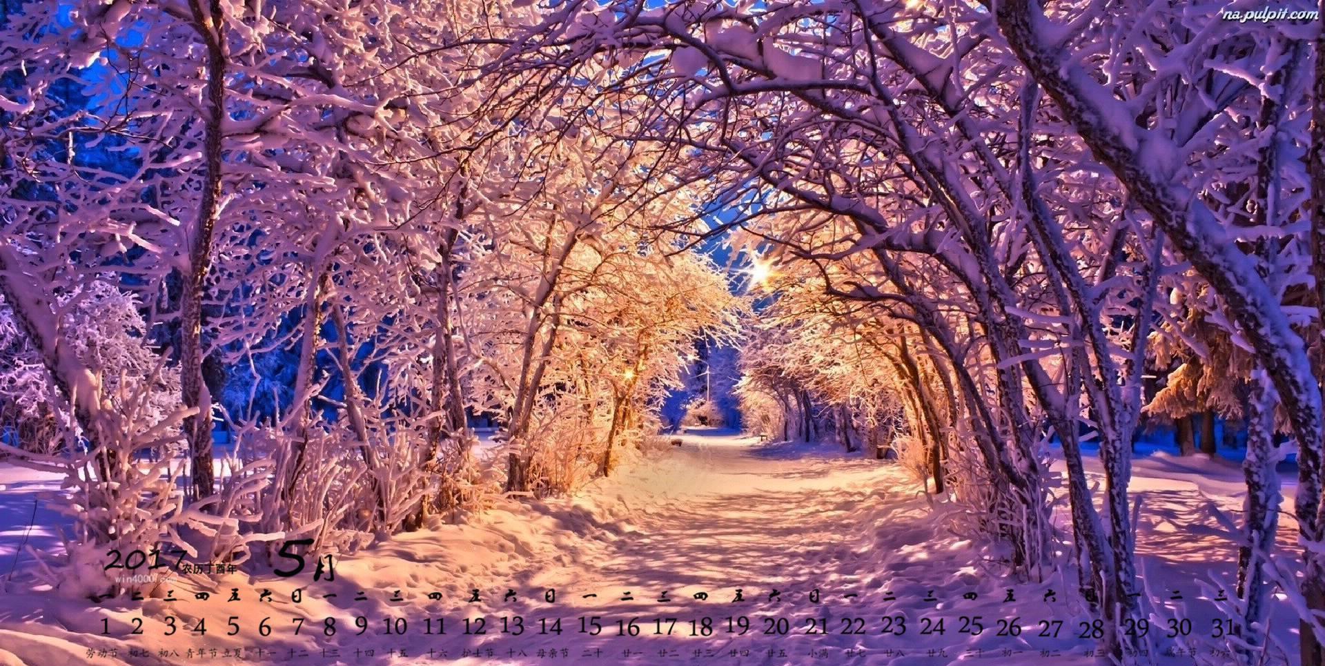 生肖|未来5天,红烛结缘,深情相拥,旧情缥缈,复合相依,恩爱如胶