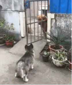 摆摊|“公司女财务挺忙，咋提醒她帮忙签个字？”哈哈哈哈哈鞋都脱了还等啥...